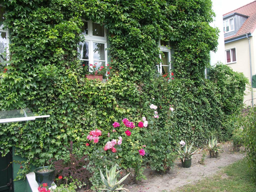 (פרנקפורט (אודר 3 Sterne Hotel Frankfurt-Oder Zur Alten Oder מראה חיצוני תמונה