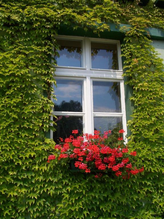 (פרנקפורט (אודר 3 Sterne Hotel Frankfurt-Oder Zur Alten Oder מראה חיצוני תמונה